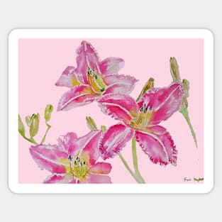 Pink Lily Flower Watercolor Painting Pattern - on Pastel Pink Sticker